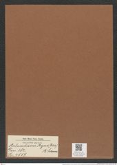 Aulacodiscus argus (Ehr.) A. Schm. (de-Toni-Nr.: Genus 182, Species 4557) Zeichnungen Sammlung Grunow Mappe 04484 (Herbarium_W_Grunow_drawings_Folder_04484)